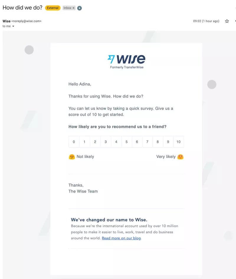 Wise email survey example.